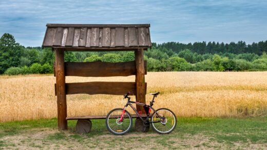 Najlepsze trasy rowerowe w okolicach Ćmielowa i Ostrowca