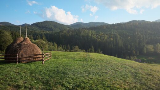 Najlepsze punkty widokowe na terenie powiatu ostrowieckiego