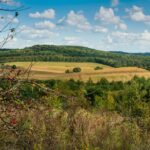 Szlaki tematyczne województwa: od geologicznych po literackie