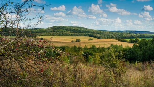 Szlaki tematyczne województwa: od geologicznych po literackie