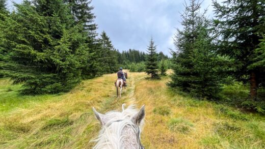 Turystyka konna w regionie: stadniny i ścieżki jeździeckie