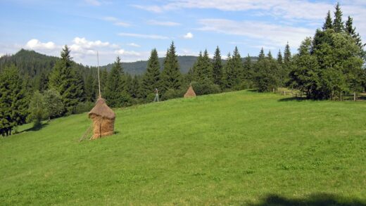 Najpiękniejsze Parki Krajobrazowe w Województwie Świętokrzyskim