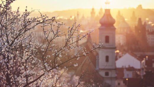 Świętokrzyskie uzdrowiska