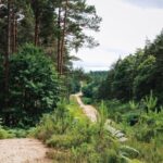 Rezerwaty przyrody w województwie świętokrzyskim – co chronią i dlaczego